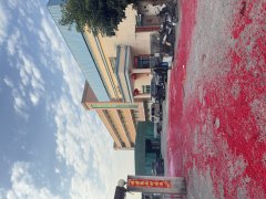 <b>龙腾四海辞旧岁，蛇舞千载启新程——澳鑫科技2025开工大吉！</b>
